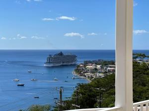 a cruise ship in the water with a harbor at El Dorado Guest Suites & Car Rental in Roseau