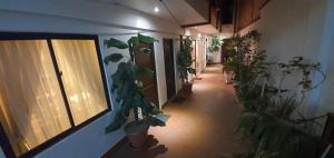 un pasillo lleno de macetas en un edificio en Casa Familiar Munaypatita, en Sucre