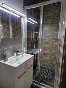 a bathroom with a white sink and a shower at studio meublé au RDC , proche lac in Aix-les-Bains +25 photos