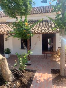 a house with a tiled roof and a patio at Casa Portal de la Bodega in Mompos