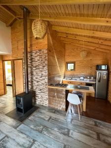 a kitchen with wooden walls and a stove at Cabañas Terra Palafito in Castro