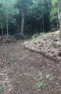 Fotografie z fotogalerie ubytování Cabaña cerca del Aeropuerto v destinaci Puerto Montt + 10 fotografií