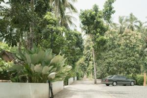 Ein Garten an der Unterkunft LAYANA FARMSTAY
