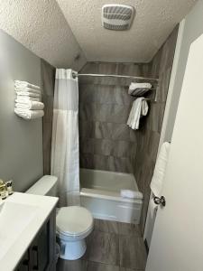 a bathroom with a toilet and a shower and a sink at Lakeside Villa in Penticton