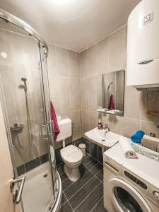 W łazience znajduje się prysznic, toaleta i umywalka. w obiekcie Apartman Vila Bojana w mieście Budžak