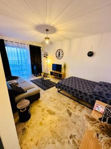 1 dormitorio con cama, sofá y TV en Studio bord de mer, en San-Nicolao
