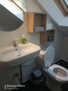 een badkamer met een wastafel en een toilet bij Um Burebierg apartment 35m2 