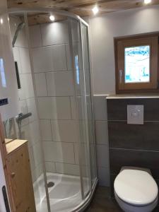 a bathroom with a shower and a toilet at Tiny Home am Bach in Pettenbach