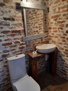 a bathroom with a white toilet and a sink at Campingul Apusenilor in Şuncuiuş