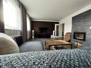 uma sala de estar com um sofá e uma lareira em Traumhaftes Luxuriöses Haus in Erfurt 160qm em Erfurt