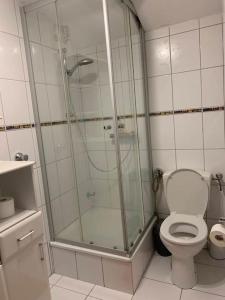 a bathroom with a shower and a toilet at Private Studio Apartment with Balcony in Dortmund-Brackel in Dortmund