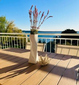 Příroda nedaleko apartmánu + 25 fotografií