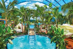 a pool in a resort with palm trees at B und B Titisee Hotel Sonnenmatte nahe Badeparadies in Titisee