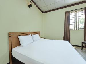 Gallery image of Capital O 90761 D Jiwa Hotel in Pendang