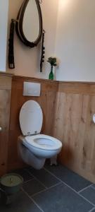 uma casa de banho com um WC e um espelho na parede em De Blauwe Maaten em Neerglabbeek