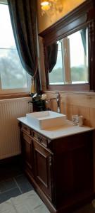 a bathroom with a sink and a window at De Blauwe Maaten in Neerglabbeek