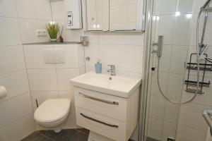 a bathroom with a toilet and a sink and a shower at Ferienwohnung mit neuer Küche u Bad - W-LAN in Damp
