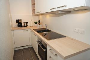 a kitchen with a sink and a counter top at Ferienwohnung mit neuer Küche u Bad - W-LAN in Damp