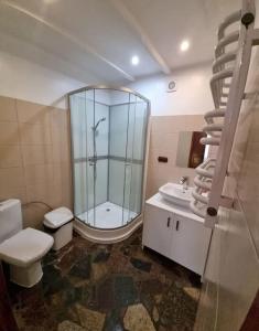 a bathroom with a shower and a toilet and a sink at Domek blisko granicy u Darka in Kunowice