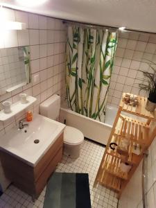 ブライニッセにあるWelkom in DeKreek V59, dem freundlichen Ferienhausのバスルーム(洗面台、トイレ、シャワーカーテン付)