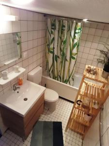 a bathroom with a sink and a toilet and a shower curtain at Welkom in DeKreek V59, dem freundlichen Ferienhaus in Bruinisse