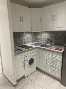 阿格德角appartement Cap d’Agde的带水槽和洗衣机的厨房