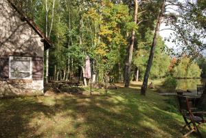 Vonkajšia záhrada v ubytovaní Paradis perdu en Sologne avec plage privée