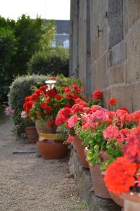 un ramo de flores en macetas en la pared en Maison de Benedicte, en Saint-Brieuc