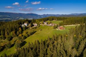 an aerial view of a house on a hill with trees at Gasthof Pension Orthofer in Sankt Jakob im Walde