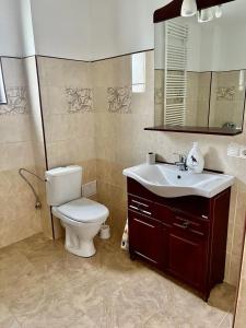 a bathroom with a toilet and a sink at Casa Rus in Leordina +14 photos