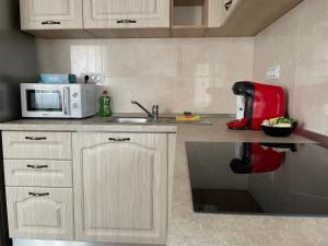 a kitchen with a sink and a microwave at Septimius Severus Apartments in Alba Iulia