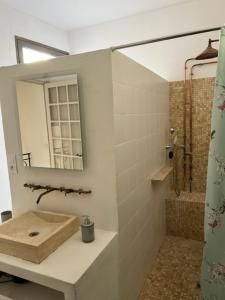 un baño con lavabo y espejo en La Belle de l’Isle, en LʼIsle-sur-la-Sorgue 21 fotos más