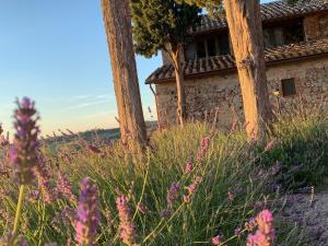 Monastero Sant'Anna in Camprena外面的花园