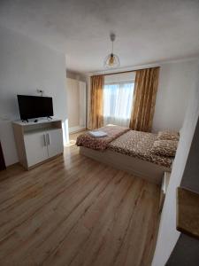 a bedroom with a bed and a television in it at Pensiune lângă Mănăstirea Izbuc in Călugări +19 photos