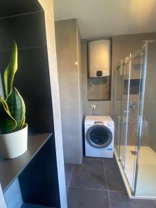 a bathroom with a washing machine and a shower at Apartments Marina in Petrcane