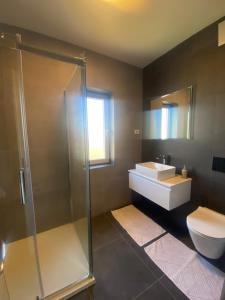 a bathroom with a shower and a sink and a toilet at Apartments Marina in Petrcane