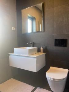 a bathroom with a white sink and a toilet at Apartments Marina in Petrcane