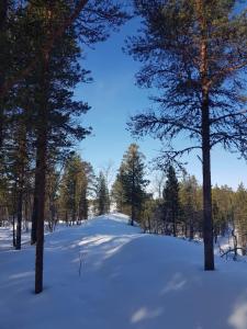 un sendero cubierto de nieve en un bosque con árboles en Log Cabin - Lord of Sormuset en Inari