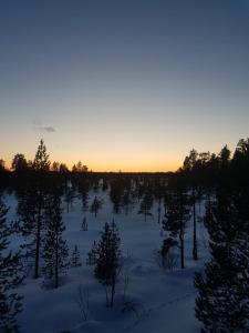 un campo nevado con árboles y la puesta de sol en el fondo en Log Cabin - Lord of Sormuset en Inari