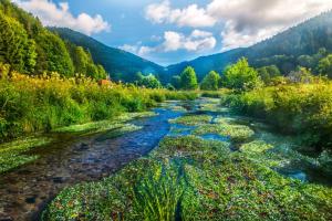 a river in the middle of a field with trees at Villa Valtin in Le Valtin