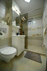 a bathroom with a toilet and a sink and a shower at Apartament Trandafirilor in Haţeg