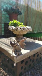 Shanti Ca' casa indipendente con giardino kisállat-vendégei