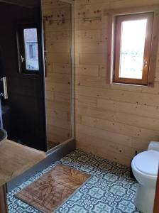 ein Bad mit einer Dusche und einem WC in der Unterkunft Ma roulotte adorée in Bissières