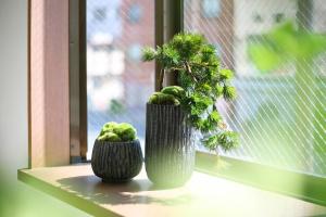two plants in vases sitting on a window sill at Pirane House 201 東京スカイツリー浅草 押上駅が徒歩圏内 無料wifi in Tokyo