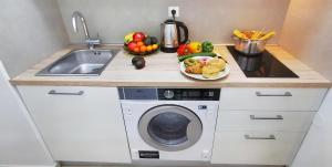- un comptoir de cuisine avec un lave-linge et un évier dans l'établissement Elegance Suite - "100m from the Beach with Free Parking and Garden", à Opatija