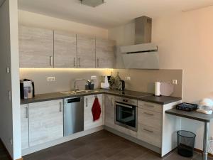 cocina con fregadero y fogones en Wohlfühl-Apartment, en Ettlingen