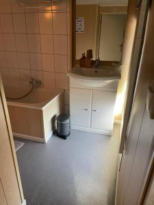 uma casa de banho com um lavatório, uma banheira e um espelho. em B&B De Notelaar em Rendeux