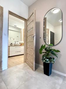 a bathroom with a mirror and a potted plant at Apartments Sleep & GO Modlin Airport in Nowy Dwór Mazowiecki