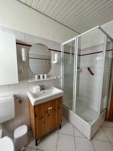 een badkamer met een wastafel, een douche en een toilet bij Haus Janus 3 - Wohnung 2 in Norderney