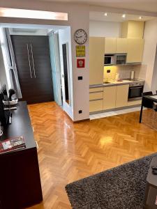Kuchyň nebo kuchyňský kout v ubytování Apartments Mango Downtown